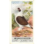 COPE, Pigeons, complete, G to EX, 25