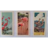 BROOKE BOND, Tropical Birds, complete (2), top line red & black, Canadian issues, VG to EX, 96