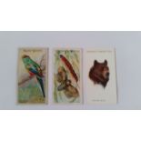 PLAYERS, complete (8), inc. Butterflies & Moths, British Live Stock, Butterflies, Sea Fishes, Wild