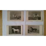 HORSE RACING, book-plate engravings, mainly horses (some scenes), 8 x 5.5, slight duplication,