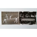 CRICKET, press photographs, Australia v England 1946-47, Sid Barnes and Ian Johnson resume batting