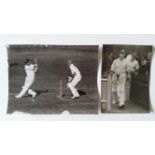 CRICKET, press photographs, Australia v England 1946-47, Australians appeal for Walter Hammond's