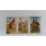 MIXED, part sets, inc. Phillips Animal Series (34/40), Lea Modern Miniatures (21/50), Sandorides