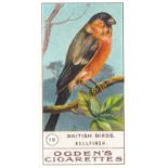 OGDENS, British Birds 1st, complete, VG to EX, 50