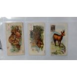 WILLS, odds, inc. Tyes of the British Army (39), Animals - p/c (8)Animals & Birds, Flags of the