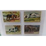 MIXED, complete(20), inc. Peter Kin English Sporting Dogs, Church & Dwight Useful Birds, A/1 Sweet