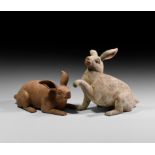 Chinese Tang Terracotta Rabbit Pair