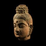 Gandharan Terracotta Head of Buddha