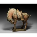 Chinese Tang Caparisoned Horse with Lowered Head