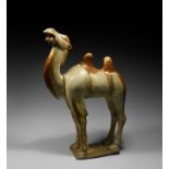 'The Desmond Morris' Chinese Tang Camel