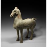 Large Chinese Han Standing Horse