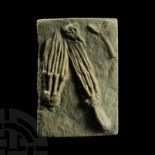 Abrotocrinus Unicus Fossil Crinoid