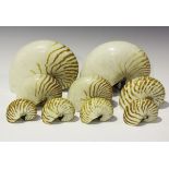 A group of natural nautilus shells, including two large examples, length 22cm (some with cracks).
