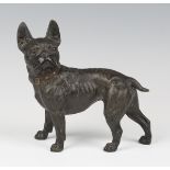 An early 20th century Austrian cast bronze model of a Boston terrier with gilt decorated collar,