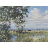 Ann P. Knowler - 'Watermeadows at Amberley', late 20th century oil on canvas, signed recto, titled