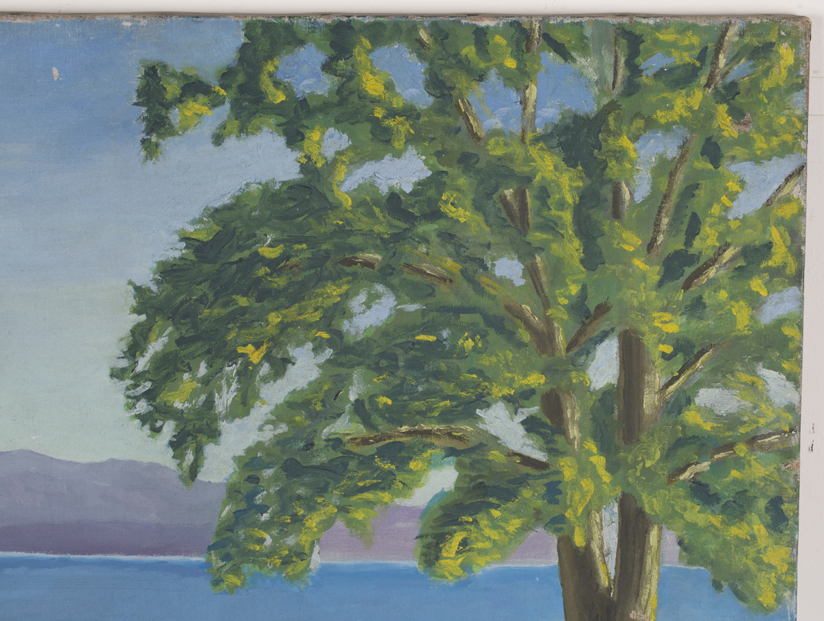 Noël Coward - 'Tree on the Edge of a Lake', 20th century oil on canvas, signed recto, titled and - Image 4 of 4