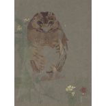 Charles Maurice Detmold - 'Owl', late 19th century watercolour, signed with initials flanking a