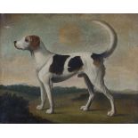 British Provincial School - Foxhound standing in a Landscape,20th century oil on canvas,