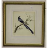 A Chinese export style watercolour painting on paper, painted with a magpie perched on a