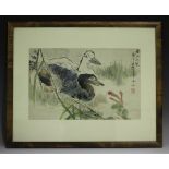 Two Chinese watercolour paintings, early 20th century, one depicting two ducks, the other a red-