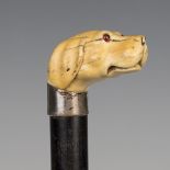 A late 19th/early 20th century ebony walking cane, the ivory handle carved as a dog's head inset