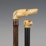 A late 19th century bamboo walking cane, the ivory handle carved as a dog's head inset with glass
