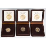 Three Royal Mint proof sovereigns 1981, cased.Buyer’s Premium 29.4% (including VAT @ 20%) of the