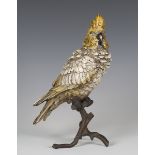After Franz Bergman - a 20th century Austrian cold painted cast bronze model of a cockatoo,
