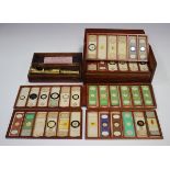 A good collection of seventy-two microscope specimen slides, the majority late Victorian,