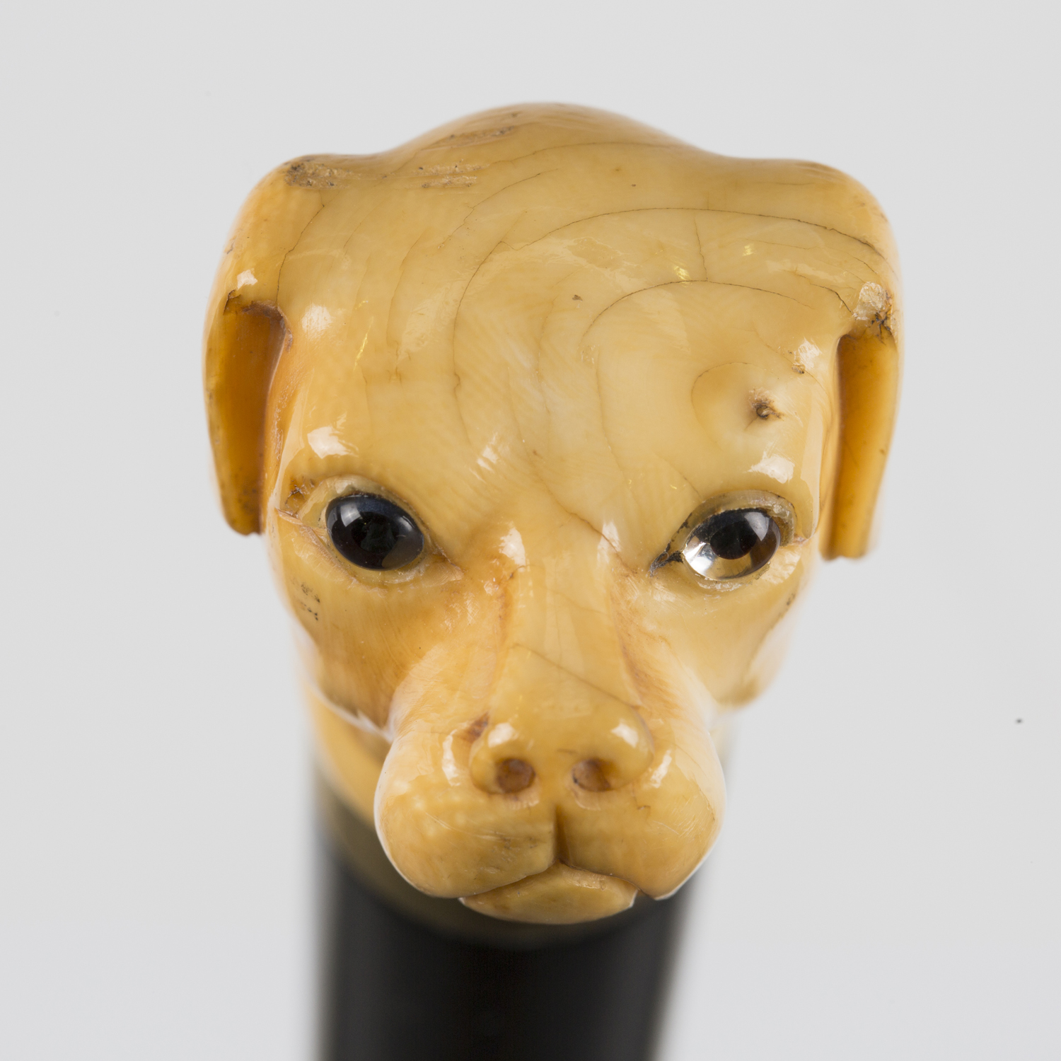 A 19th century ebonized walking cane, the ivory handle finely carved as a dog's head with inset - Image 4 of 8