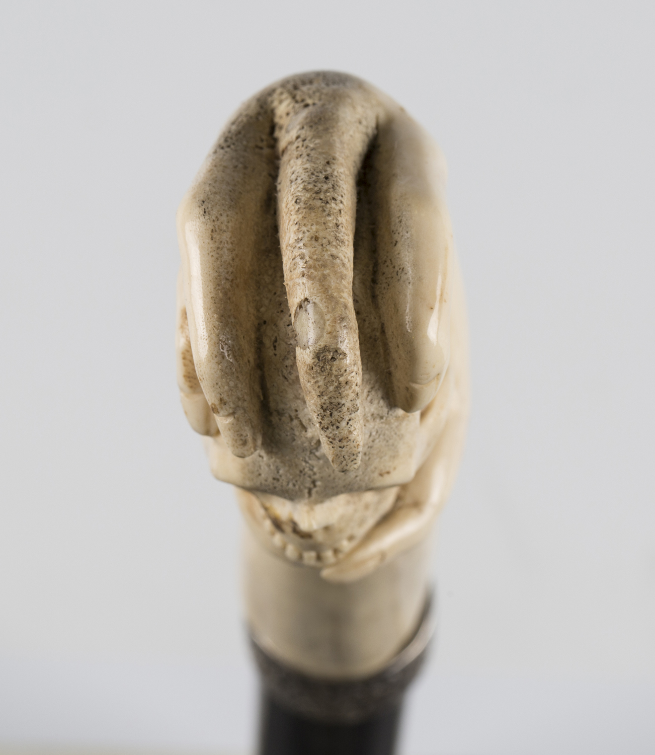 A late 19th/early 20th century ebonized walking cane, the carved antler handle modelled as a hand - Image 7 of 11