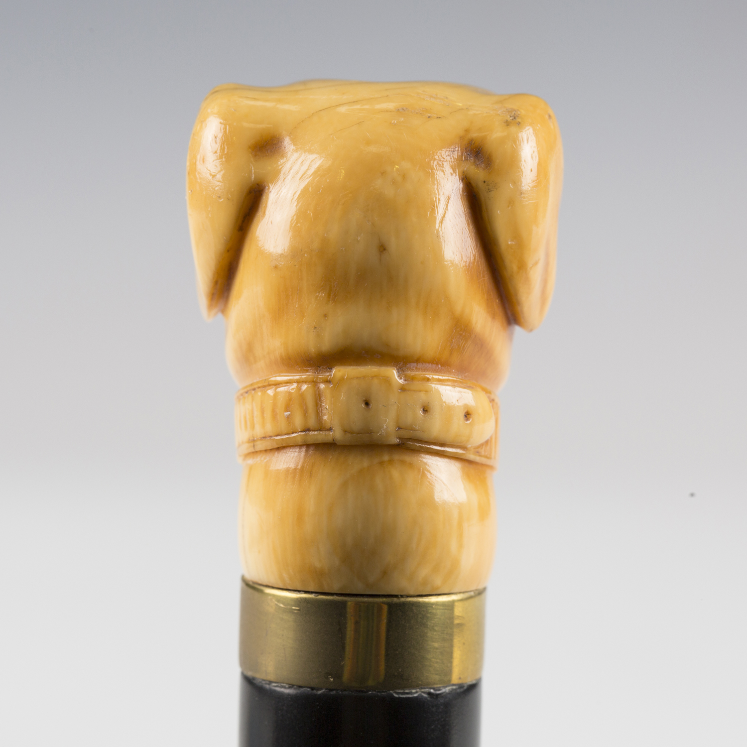 A 19th century ebonized walking cane, the ivory handle finely carved as a dog's head with inset - Image 7 of 8