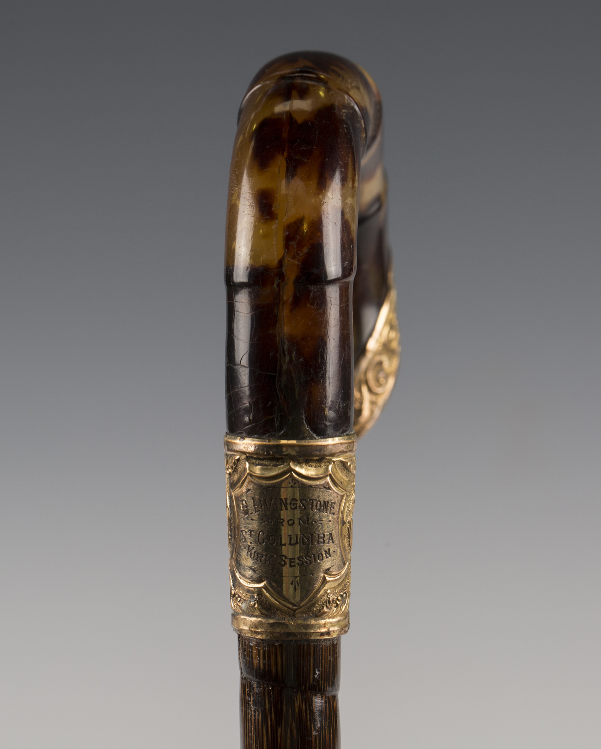 A late 19th century palmwood walking cane, the moulded tortoiseshell handle with gilt metal mount - Image 5 of 7