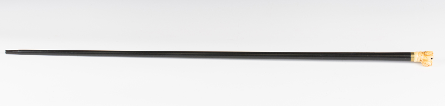 A 19th century ebonized walking cane, the ivory handle finely carved as a dog's head with inset - Image 3 of 8