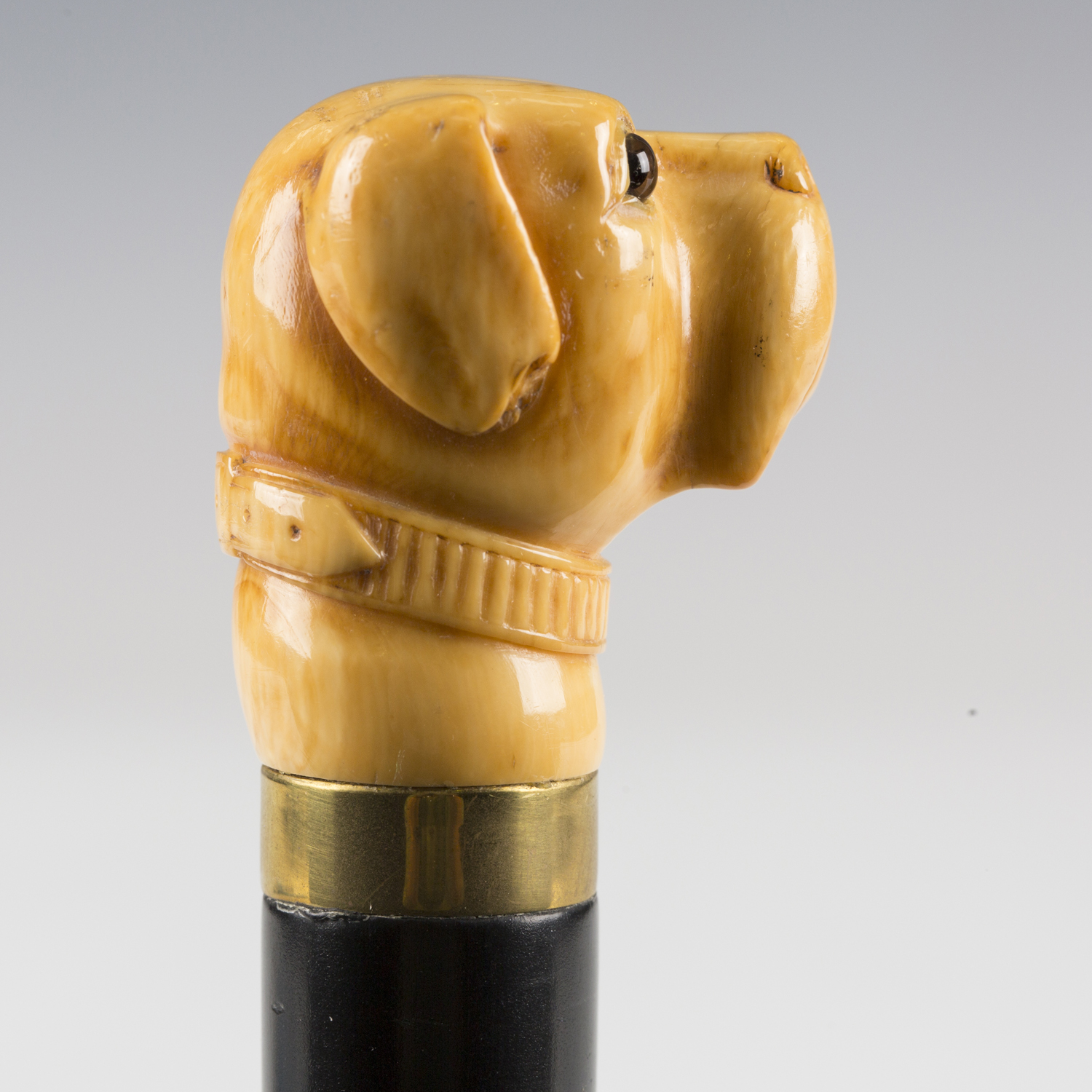 A 19th century ebonized walking cane, the ivory handle finely carved as a dog's head with inset - Image 8 of 8