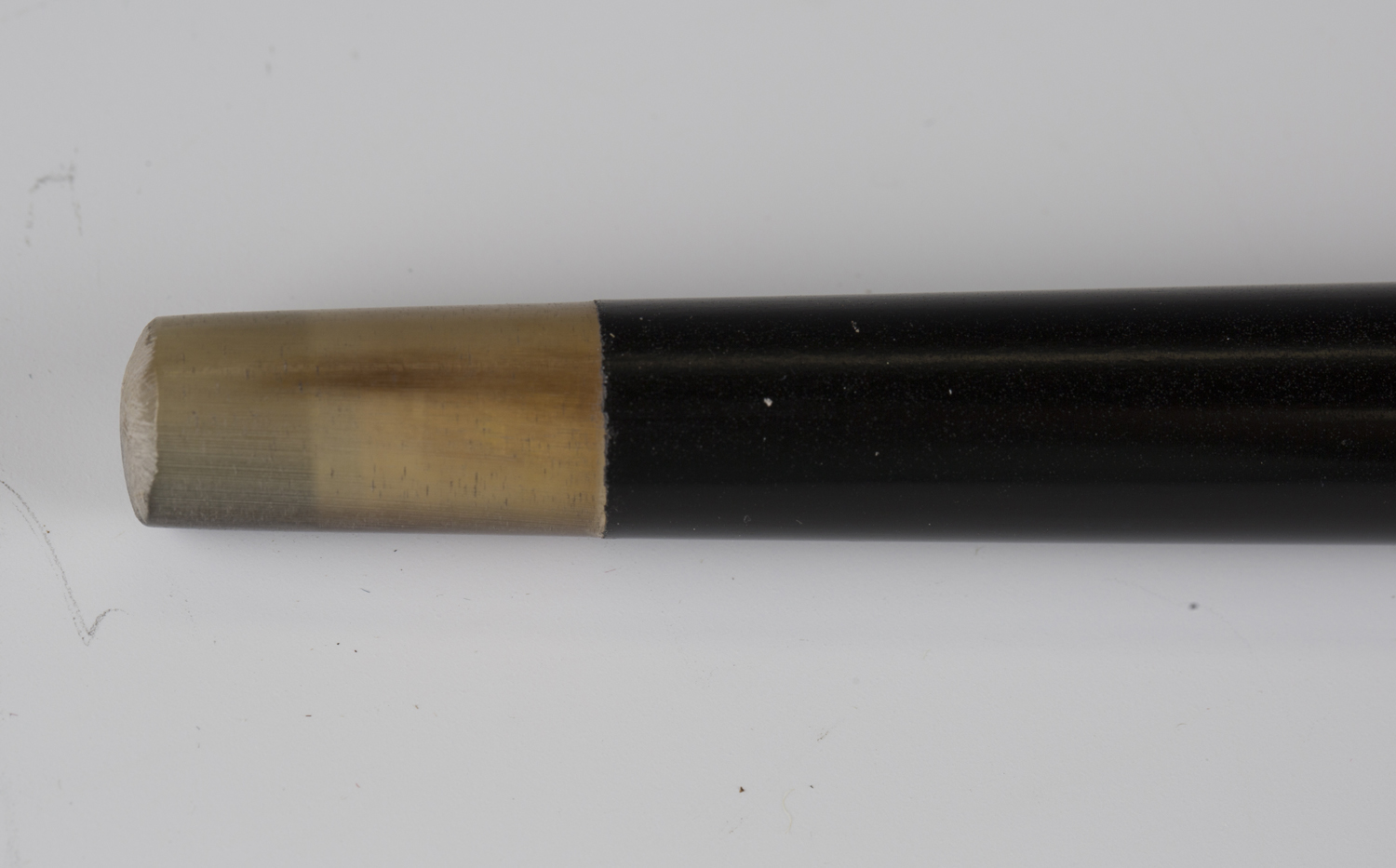 An Edwardian ebonized walking cane, the ivory handle top finely carved with the portrait of a dog' - Image 2 of 7