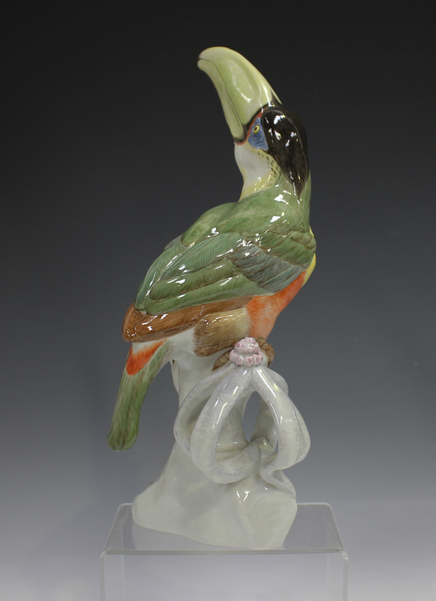 A Meissen model of a toucan, 20th century, originally modelled by Paul Walther, the colourful bird - Image 3 of 4