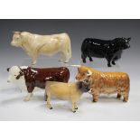 Five Beswick bulls, comprising Charolais, No. 2463A, Highland, No. 2008, Aberdeen Angus, No. 1562,