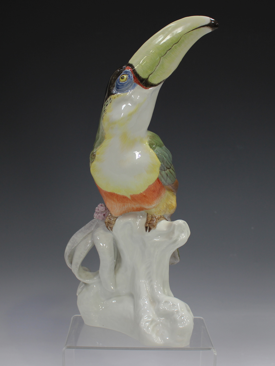 A Meissen model of a toucan, 20th century, originally modelled by Paul Walther, the colourful bird