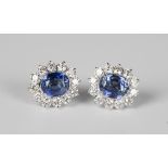 A pair of white gold, sapphire and diamond cluster earstuds, each claw set with the large oval cut