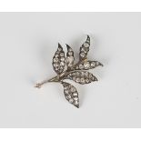A Victorian gold backed and silver fronted diamond brooch, designed as a foliate spray, mounted with