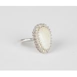 A white gold ring, claw set with a pear shaped opal within a surround of circular cut diamonds,