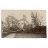 A collection of 41 postcards of West Sussex, including photographic postcards titled 'A Victim of