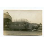 A group of 4 photographic postcards of railway stations, comprising postcards titled 'East Croydon