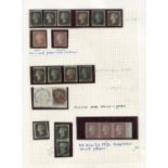 An album page with 13 1d black stamps, including a vertical pair, used, and 1841 1d red brown mint