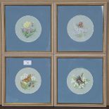 Ray G. Lewis - Butterflies, four watercolours with gouache, all signed, each 12.5cm x 12.5cm, within