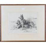 Herbert Dicksee - 'Alsatians', etching, signed in pencil, titled label verso, published by Frost &