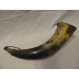 A large 19th Century natural cow horn powder flask with wooden stopper 17" long