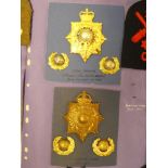 A collection of Royal Marines badges and insignia including Officer's silver gilt Queen's Crown