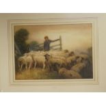 John R K Duff - watercolour Young shepherd boy with flock of sheep, signed,